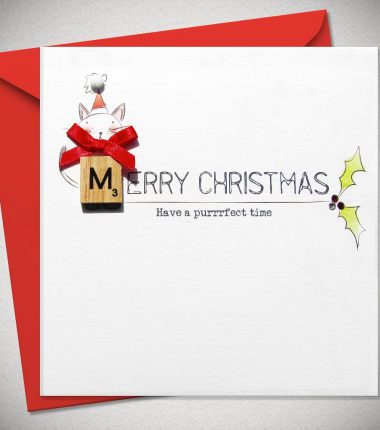 MERRY CHRISTMAS Have a purrrfect time