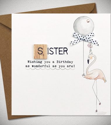 SISTER  Wishing you a Birthday as wonderful as you are!