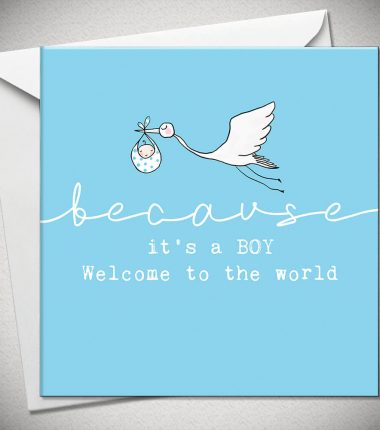 ...because it's a BOY -  welcome to world