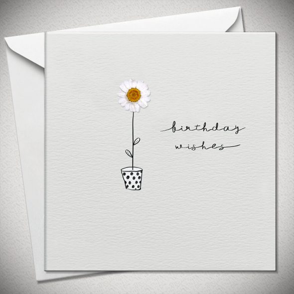 BIRTHDAY WISHES - daisy
