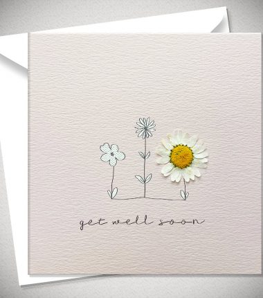 GET WELL SOON - daisy