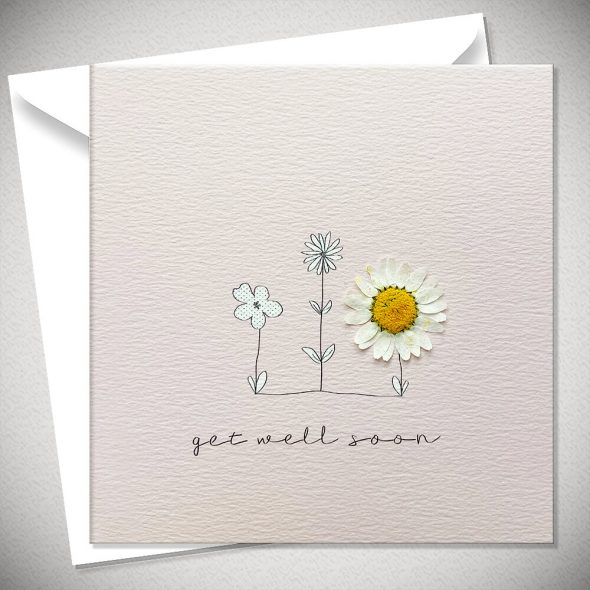 GET WELL SOON - daisy