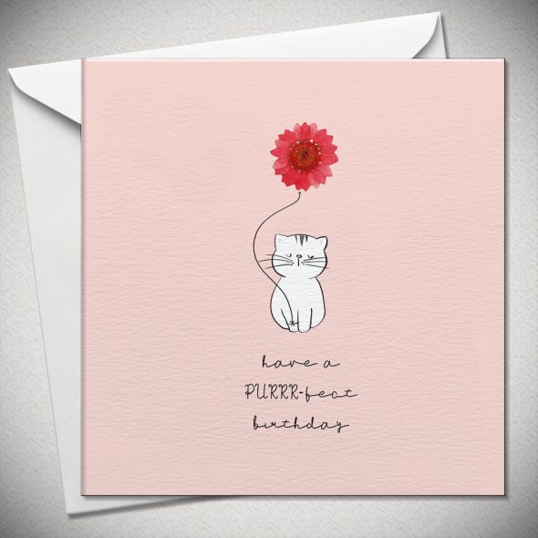 Have a PURRR-fect birthday (cat) - red daisy