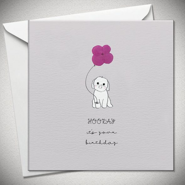 HOORAY it's your birthday (dog) - pink hydrangea