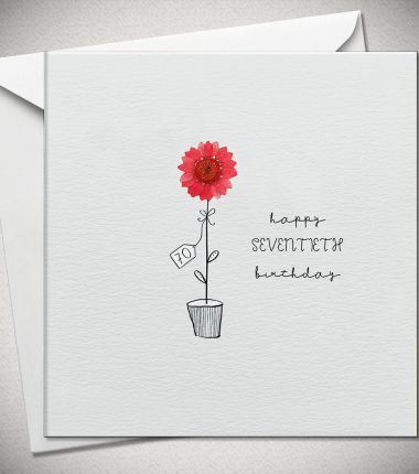 70 happy SEVENTIETH birthday - red daisy