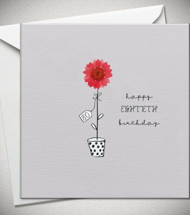80 happy EIGHTIETH birthday - red daisy