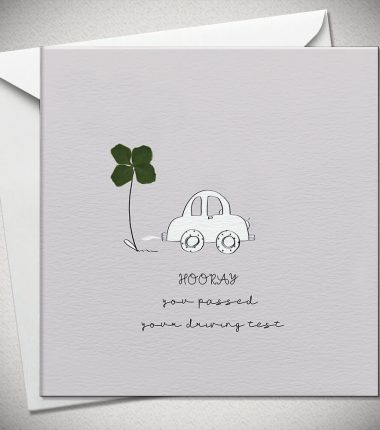 HOORAY you passed your driving test - 4 leaf clover