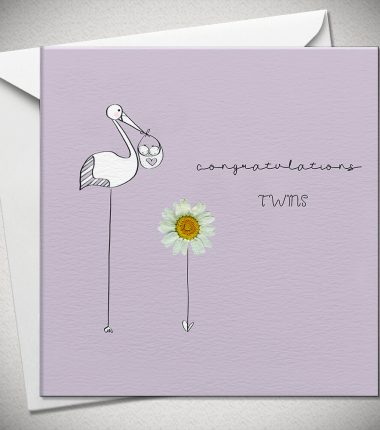 congratulations TWINS - daisy