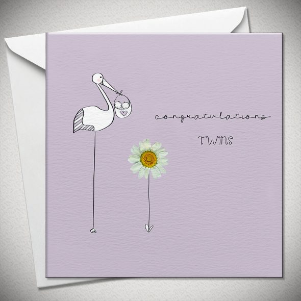 congratulations TWINS - daisy