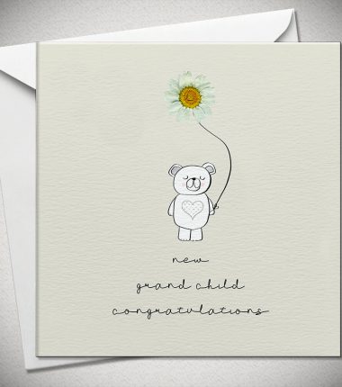 new grandchild CONGRATULATIONS - daisy