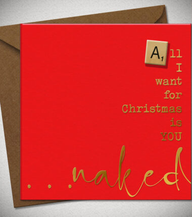 All I want for Christmas is YOU ...naked