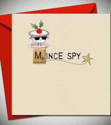 MINCE SPY