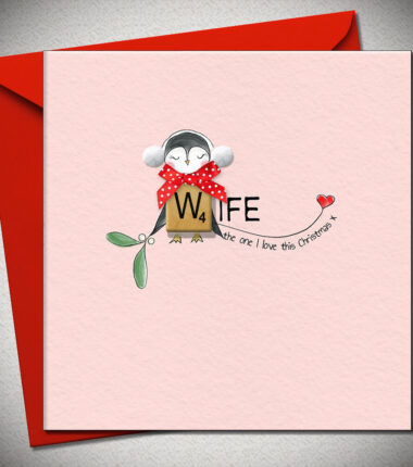 WIFE the one I love at Christmas